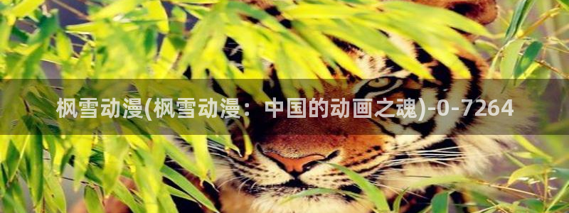 火影同人动漫