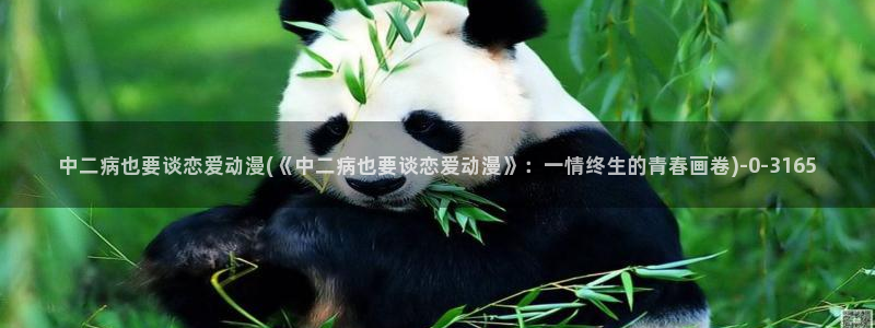 动漫节