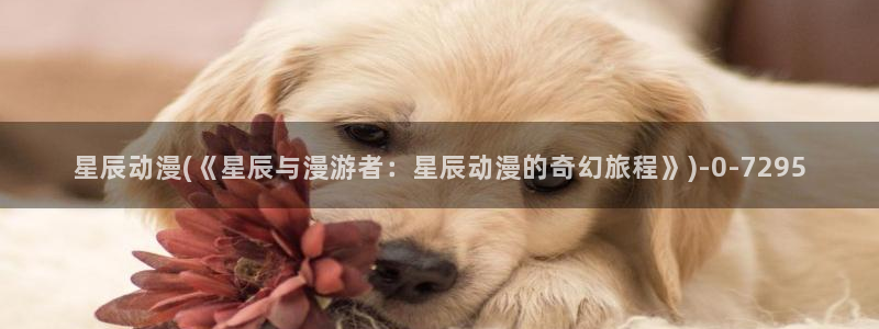动漫卡片