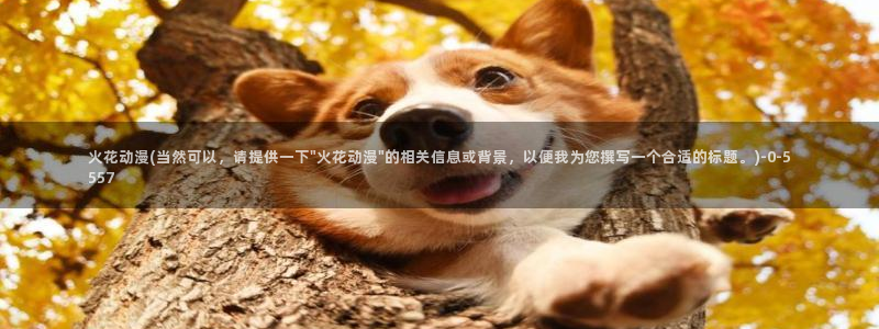 动漫网站